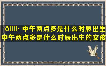 🕷 中午两点多是什么时辰出生(中午两点多是什么时辰出生的女孩)